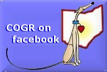 COGR on Facebook